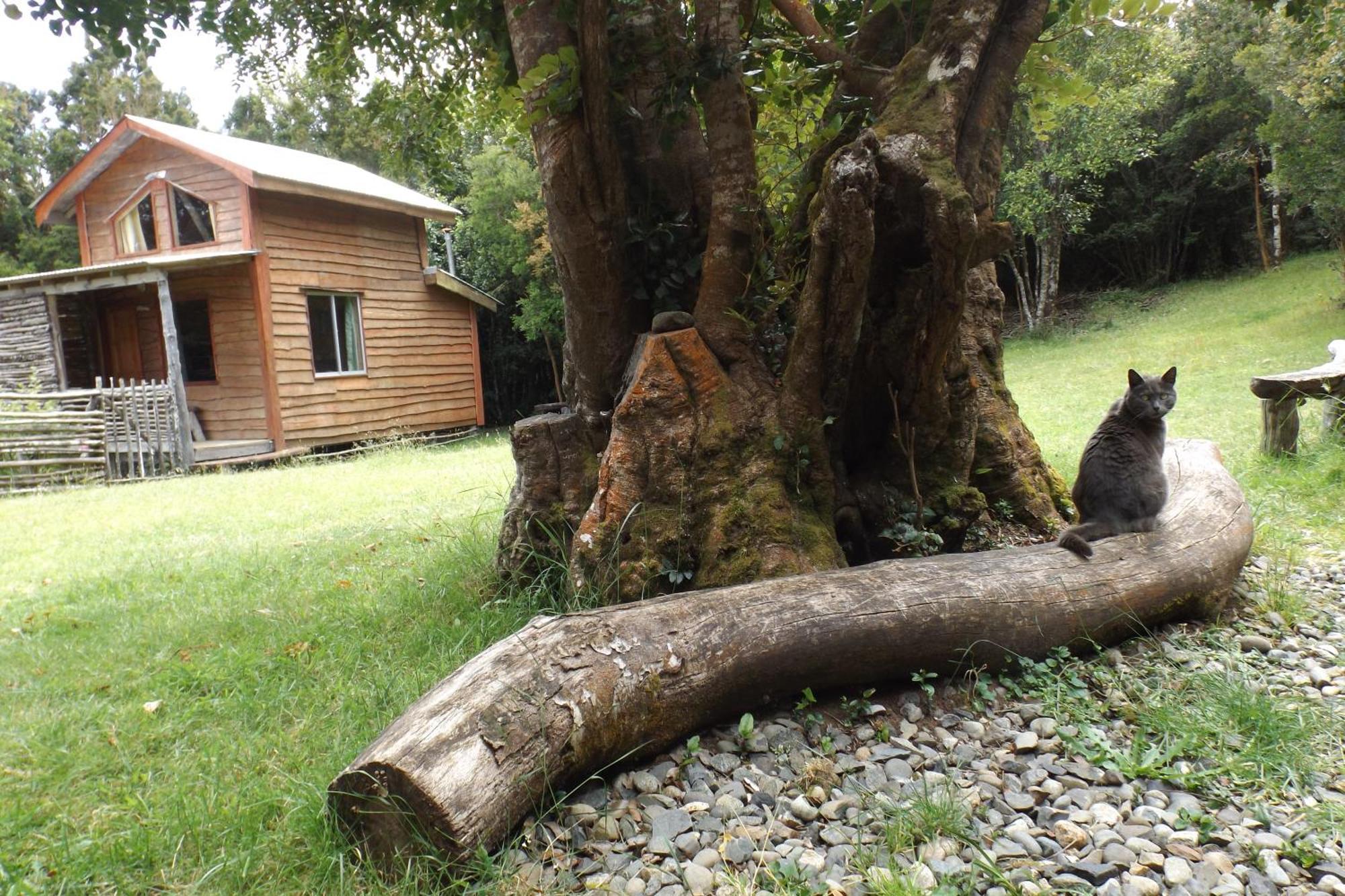 Karukinka Guest House Chonchi Exterior foto